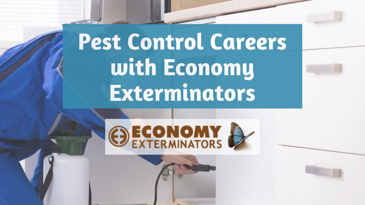 Pest Control Jobs & Exterminator Careers in NC Economy Exterminators