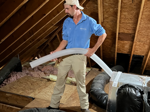 Economy's professionals clean and treat an attic